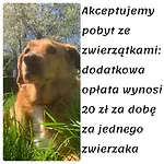 Caloroczne - U Ptaka - * Miłków