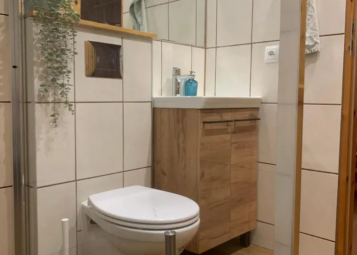 Gospodarstwo agroturystyczne Całoroczne - U Ptaka - *